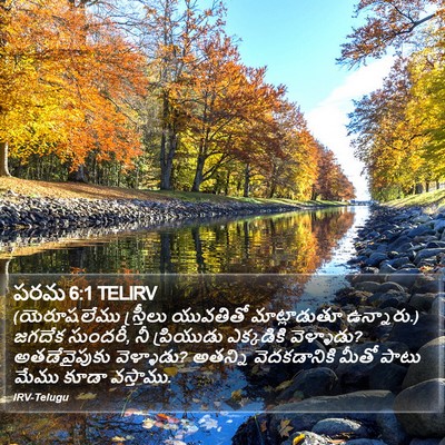 పరమ 6:1 TELIRV Bible Verse Image