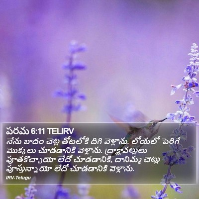 పరమ 6:11 TELIRV Bible Verse Image