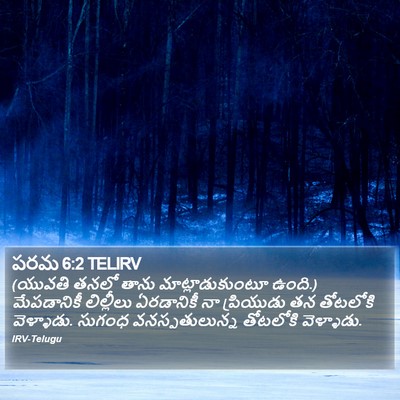 పరమ 6:2 TELIRV Bible Verse Image
