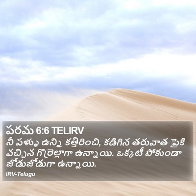 పరమ 6:6 TELIRV Bible Verse Image