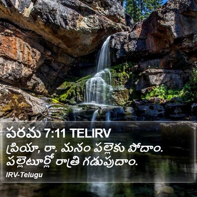 పరమ 7:11 TELIRV Bible Verse Image