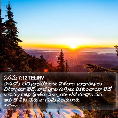 పరమ 7:12 TELIRV Bible Verse Image