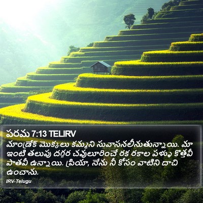 పరమ 7:13 TELIRV Bible Verse Image