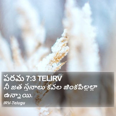 పరమ 7:3 TELIRV Bible Verse Image
