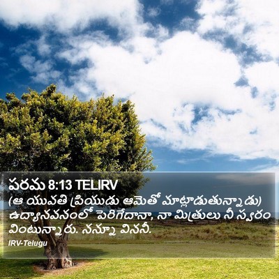 పరమ 8:13 TELIRV Bible Verse Image