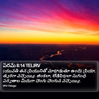 పరమ 8:14 TELIRV Bible Verse Image