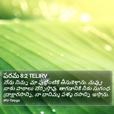 పరమ 8:2 TELIRV Bible Verse Image