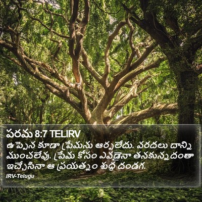 పరమ 8:7 TELIRV Bible Verse Image