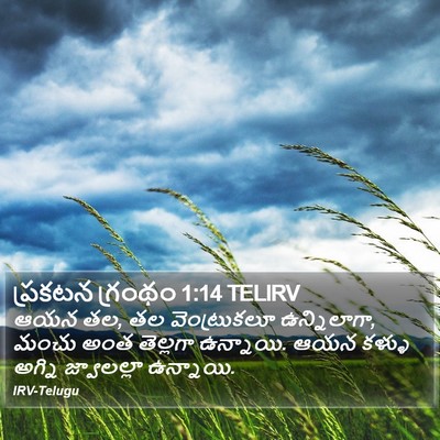 ప్రకటన గ్రంథం 1:14 TELIRV Bible Verse Image