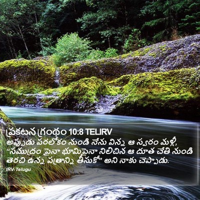 ప్రకటన గ్రంథం 10:8 TELIRV Bible Verse Image