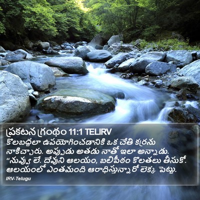 ప్రకటన గ్రంథం 11:1 TELIRV Bible Verse Image