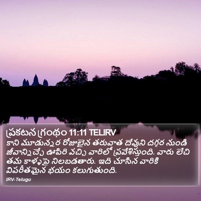 ప్రకటన గ్రంథం 11:11 TELIRV Bible Verse Image
