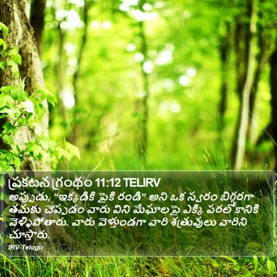 ప్రకటన గ్రంథం 11:12 TELIRV Bible Verse Image