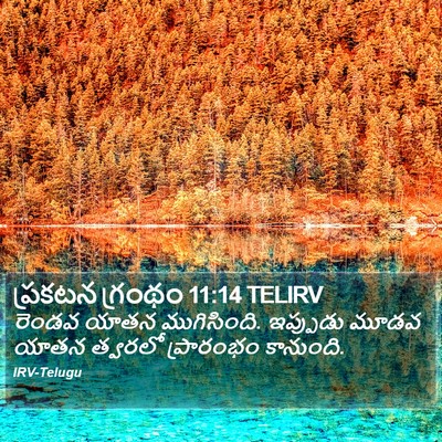 ప్రకటన గ్రంథం 11:14 TELIRV Bible Verse Image