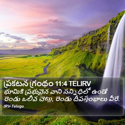 ప్రకటన గ్రంథం 11:4 TELIRV Bible Verse Image