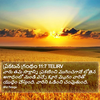 ప్రకటన గ్రంథం 11:7 TELIRV Bible Verse Image