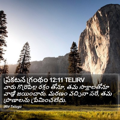 ప్రకటన గ్రంథం 12:11 TELIRV Bible Verse Image