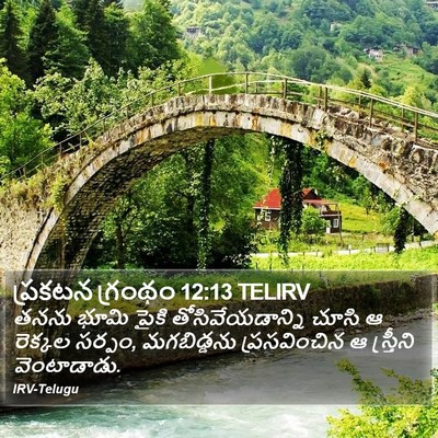 ప్రకటన గ్రంథం 12:13 TELIRV Bible Verse Image