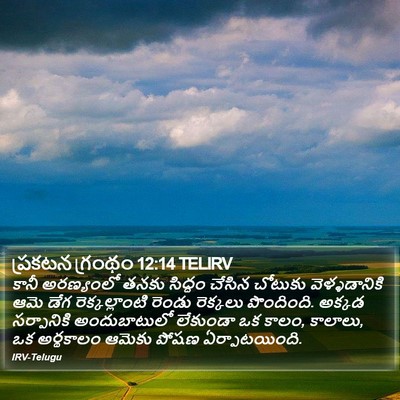 ప్రకటన గ్రంథం 12:14 TELIRV Bible Verse Image