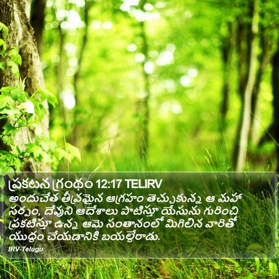 ప్రకటన గ్రంథం 12:17 TELIRV Bible Verse Image