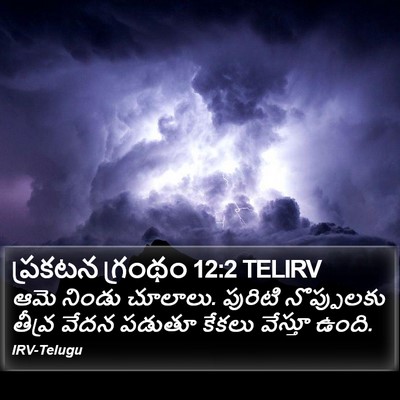 ప్రకటన గ్రంథం 12:2 TELIRV Bible Verse Image