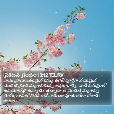 ప్రకటన గ్రంథం 13:12 TELIRV Bible Verse Image