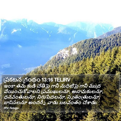 ప్రకటన గ్రంథం 13:16 TELIRV Bible Verse Image