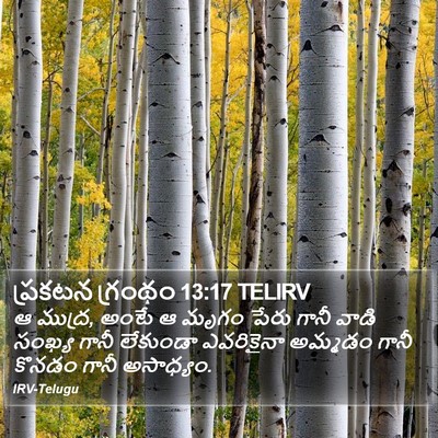 ప్రకటన గ్రంథం 13:17 TELIRV Bible Verse Image