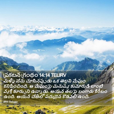 ప్రకటన గ్రంథం 14:14 TELIRV Bible Verse Image