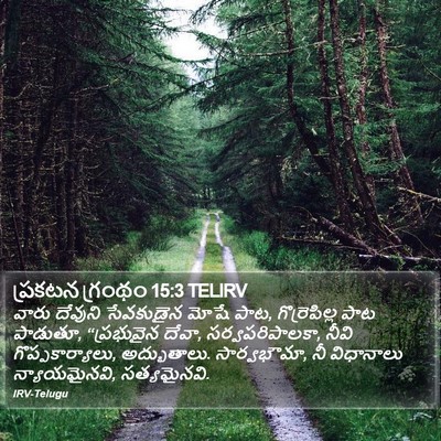 ప్రకటన గ్రంథం 15:3 TELIRV Bible Verse Image