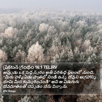 ప్రకటన గ్రంథం 16:1 TELIRV Bible Verse Image