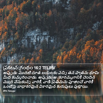 ప్రకటన గ్రంథం 16:2 TELIRV Bible Verse Image