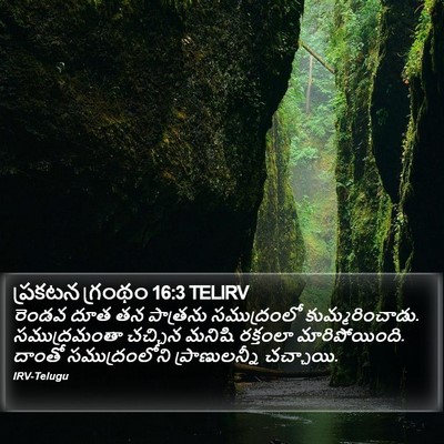 ప్రకటన గ్రంథం 16:3 TELIRV Bible Verse Image