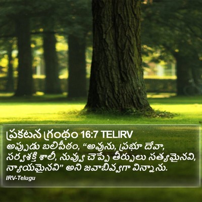 ప్రకటన గ్రంథం 16:7 TELIRV Bible Verse Image