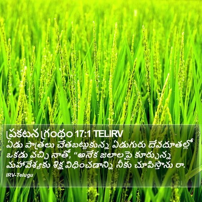 ప్రకటన గ్రంథం 17:1 TELIRV Bible Verse Image