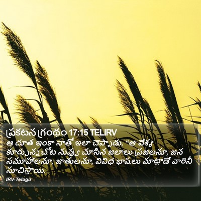 ప్రకటన గ్రంథం 17:15 TELIRV Bible Verse Image
