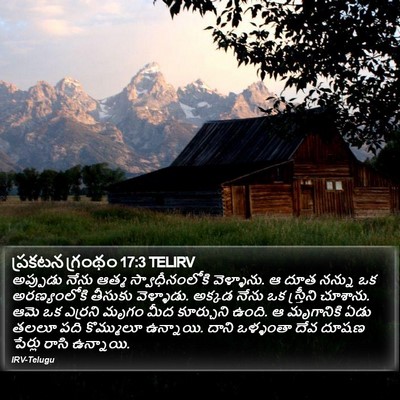 ప్రకటన గ్రంథం 17:3 TELIRV Bible Verse Image