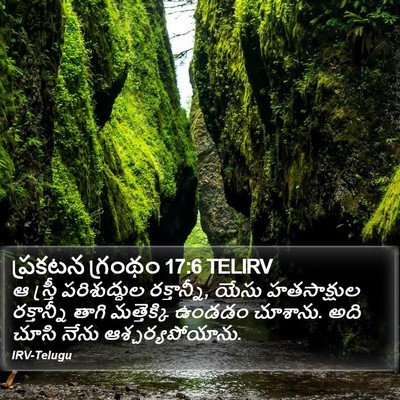 ప్రకటన గ్రంథం 17:6 TELIRV Bible Verse Image