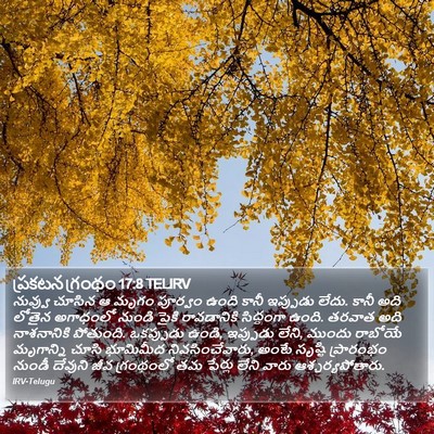 ప్రకటన గ్రంథం 17:8 TELIRV Bible Verse Image