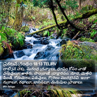 ప్రకటన గ్రంథం 18:13 TELIRV Bible Verse Image