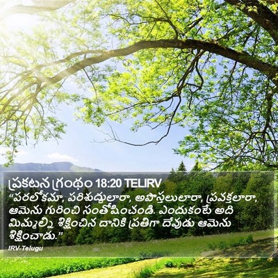 ప్రకటన గ్రంథం 18:20 TELIRV Bible Verse Image