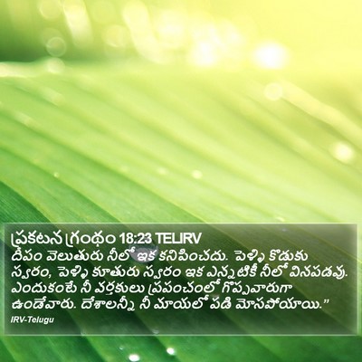 ప్రకటన గ్రంథం 18:23 TELIRV Bible Verse Image