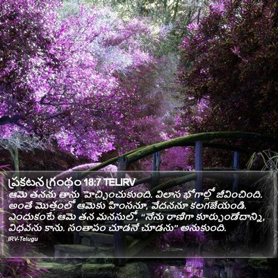 ప్రకటన గ్రంథం 18:7 TELIRV Bible Verse Image