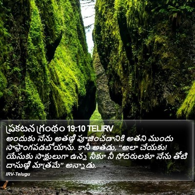 ప్రకటన గ్రంథం 19:10 TELIRV Bible Verse Image