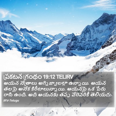 ప్రకటన గ్రంథం 19:12 TELIRV Bible Verse Image