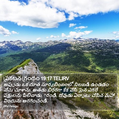 ప్రకటన గ్రంథం 19:17 TELIRV Bible Verse Image