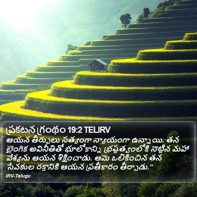 ప్రకటన గ్రంథం 19:2 TELIRV Bible Verse Image