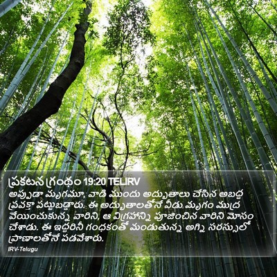 ప్రకటన గ్రంథం 19:20 TELIRV Bible Verse Image