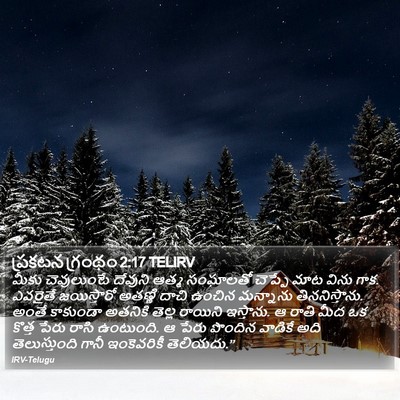 ప్రకటన గ్రంథం 2:17 TELIRV Bible Verse Image