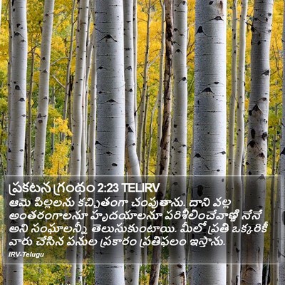 ప్రకటన గ్రంథం 2:23 TELIRV Bible Verse Image